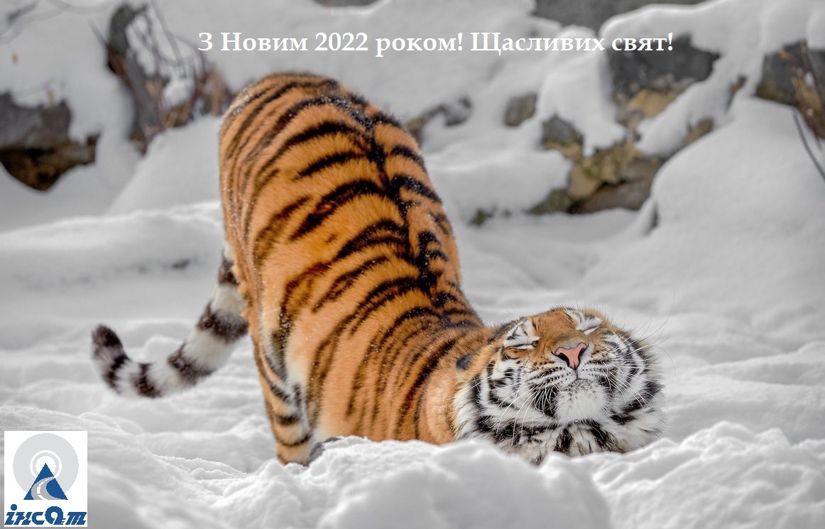 Новий Рік 2022
